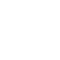 Consultamos